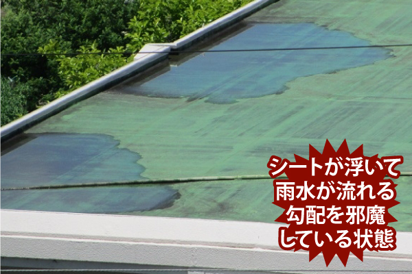 シートが浮いて雨水が流れる勾配を邪魔している状態