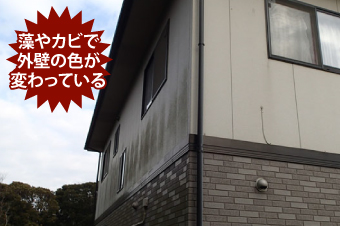 外壁汚れ