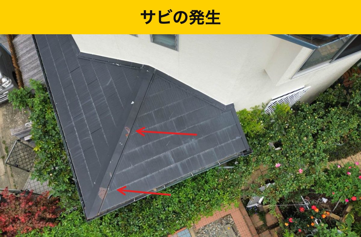 色あせと板金のさびも確認。症状ごとに見る理由