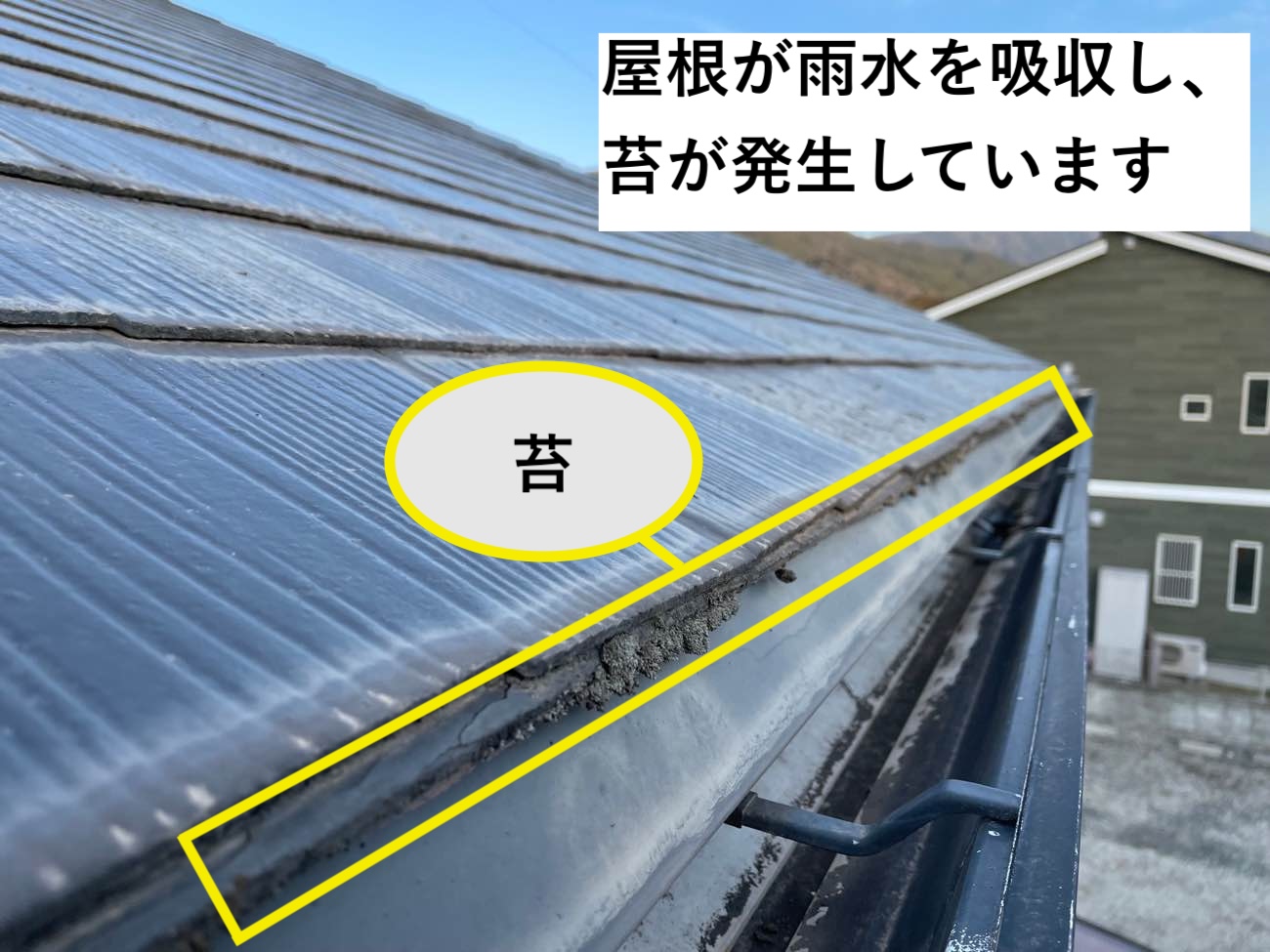 太宰府市の屋根調査、苔の発生