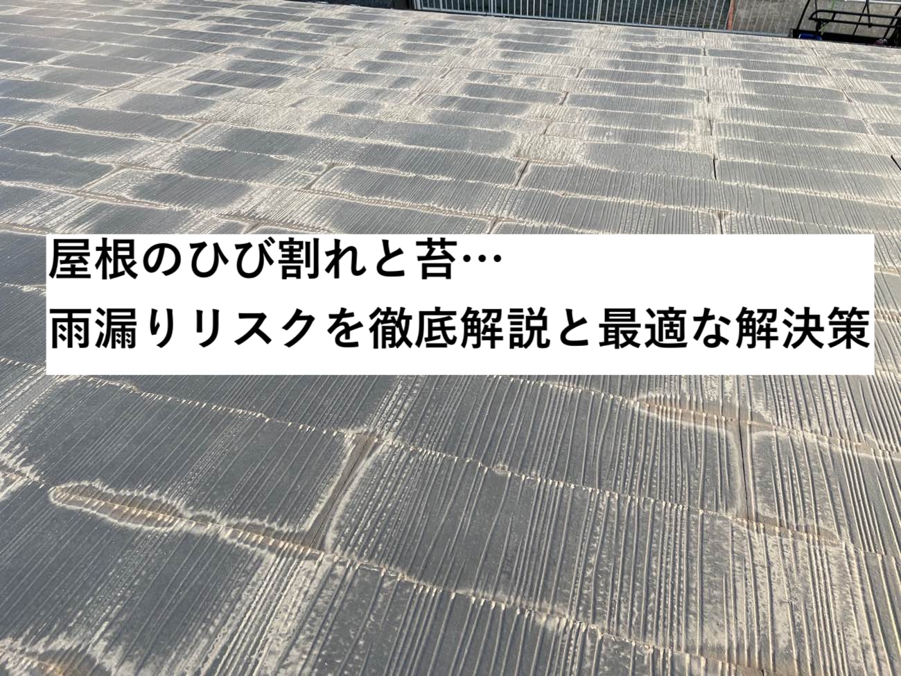太宰府市の屋根調査
