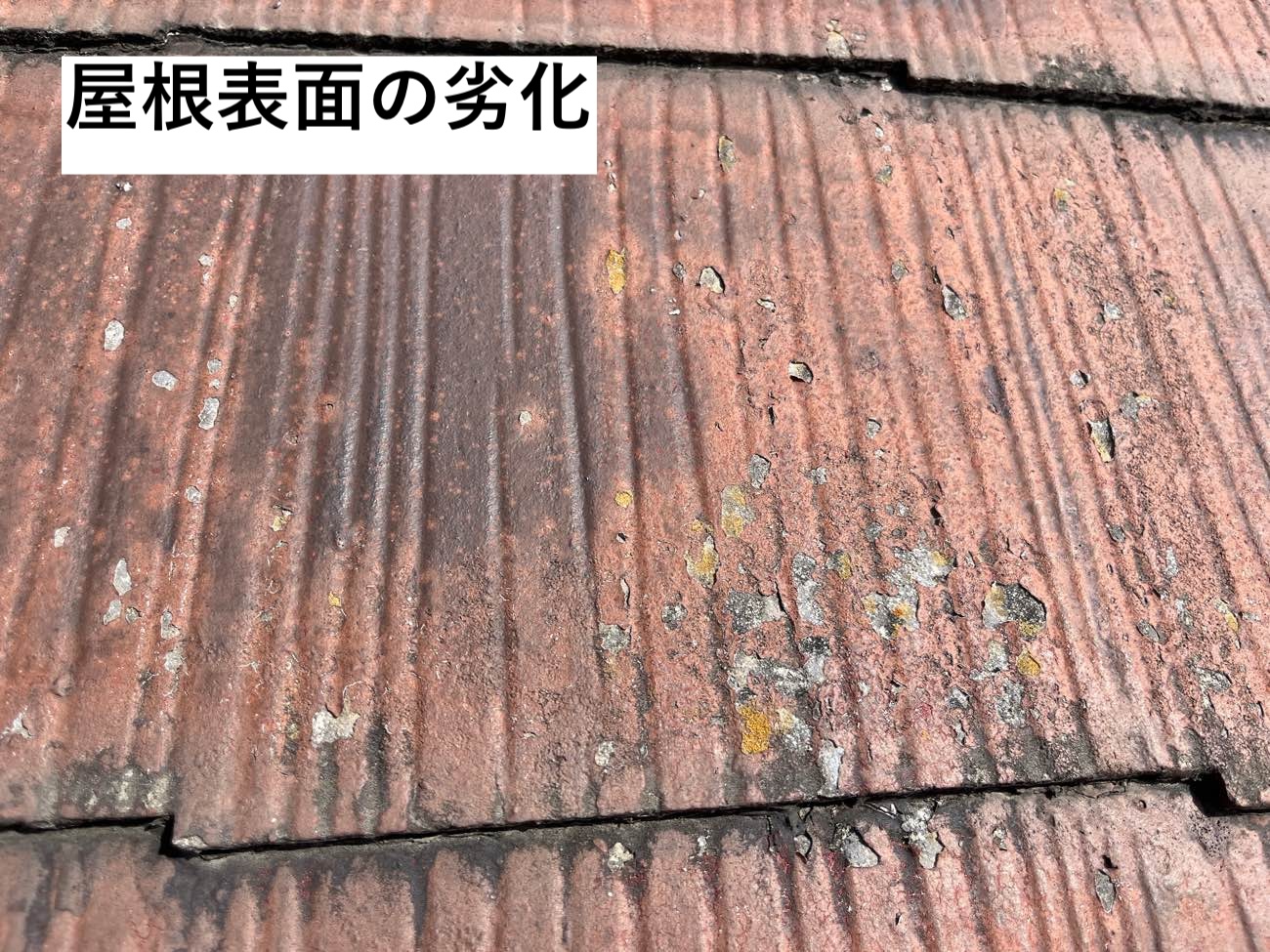 苔の発生、表面の劣化