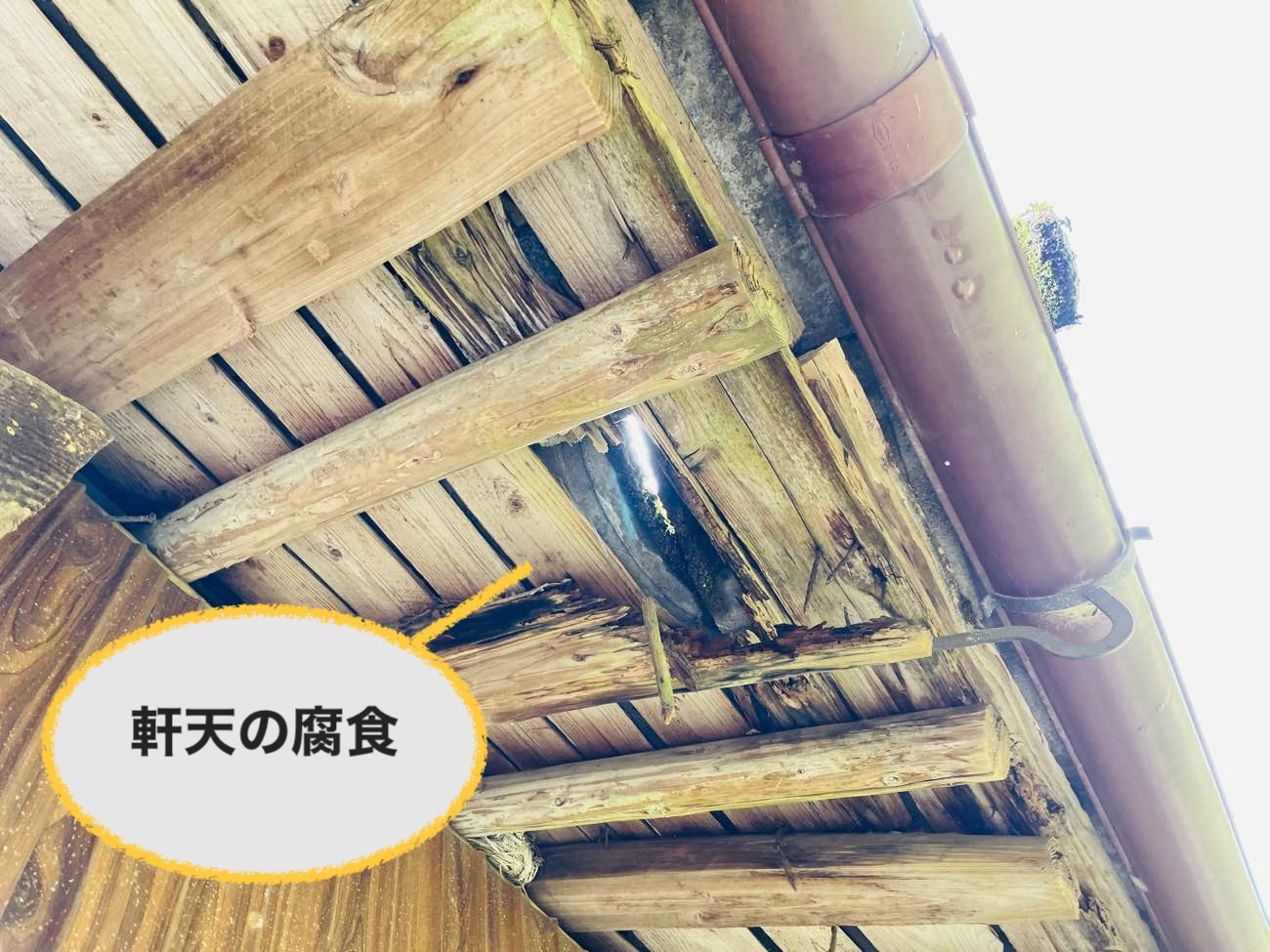 太宰府市で実施した葺き替え工事、軒天の腐食
