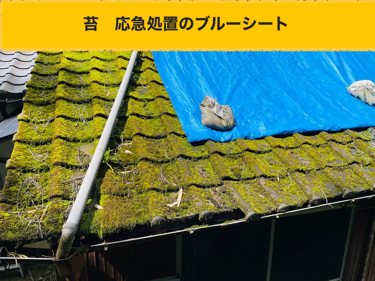 太宰府市で実施した葺き替え工事、応急処置