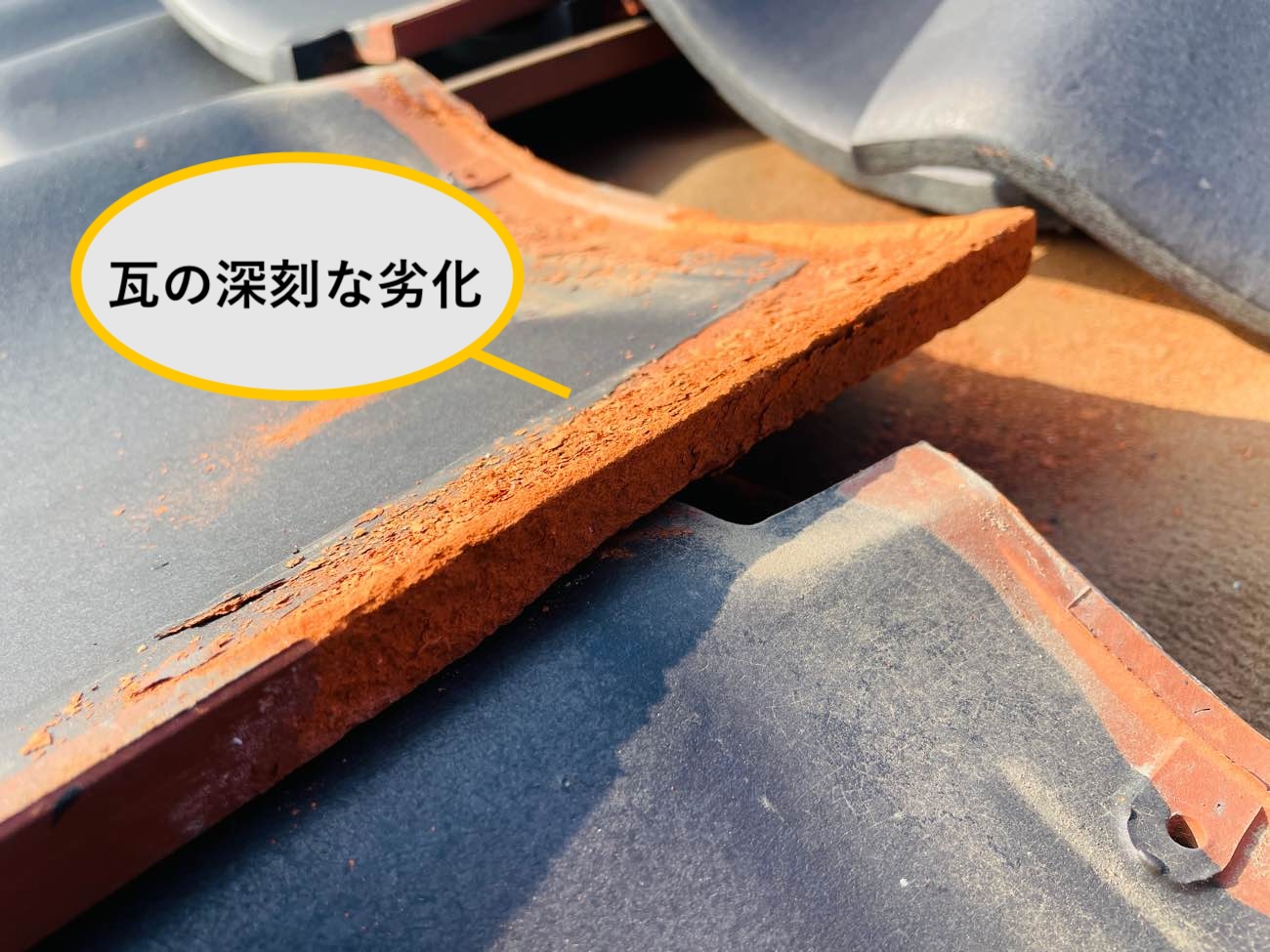 瓦の深刻な劣化症状
