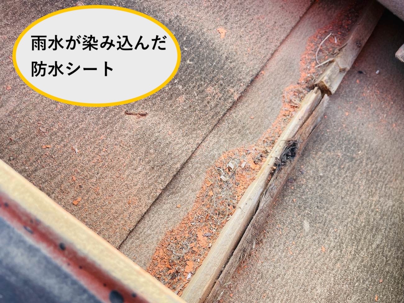 防水シートに染み込んだ雨水