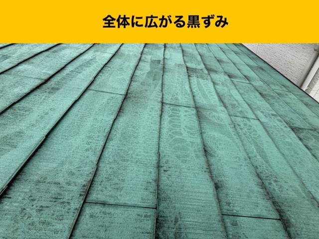 屋根全体に広がる黒ずみの確認