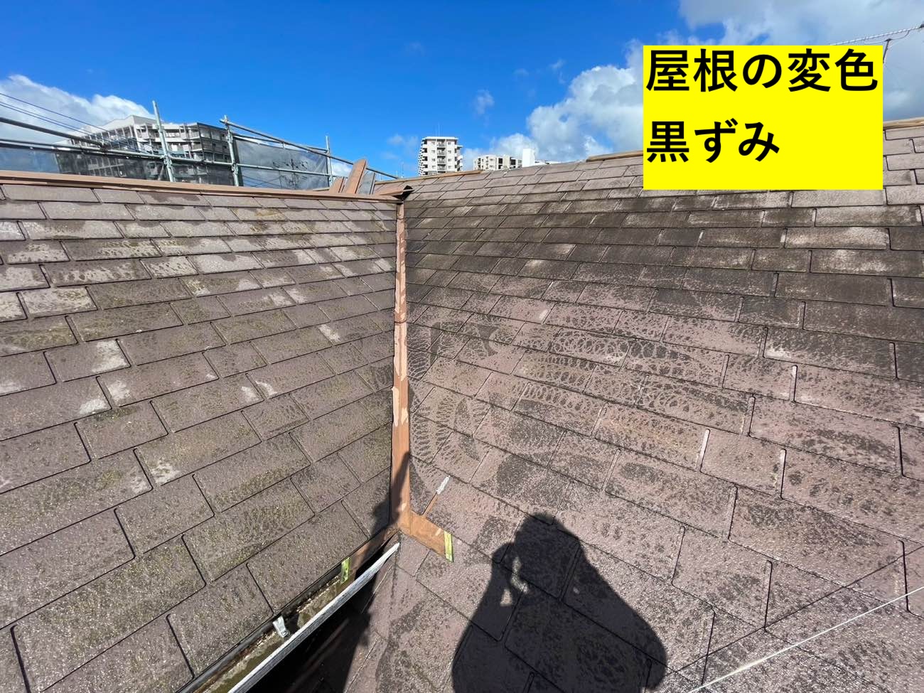 屋根の黒ずみ、スレート屋根の調査