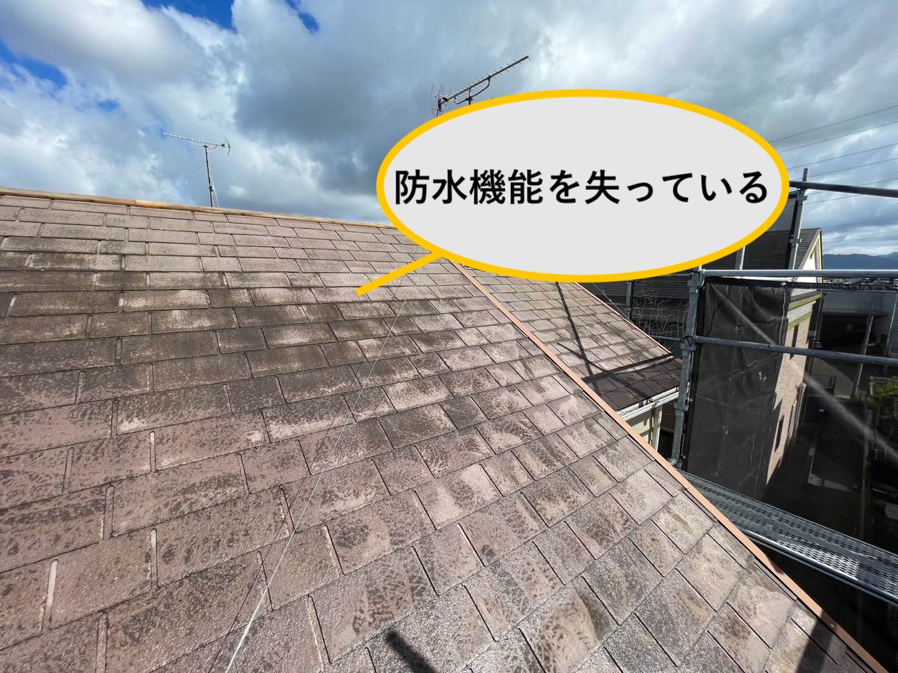 防水機能の低下が見られる部分