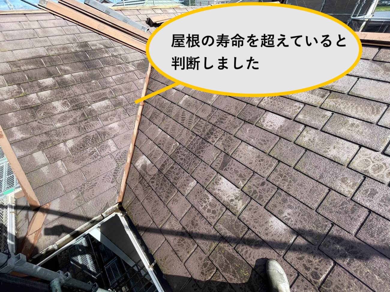 屋根寿命を超えていると判断したポイント