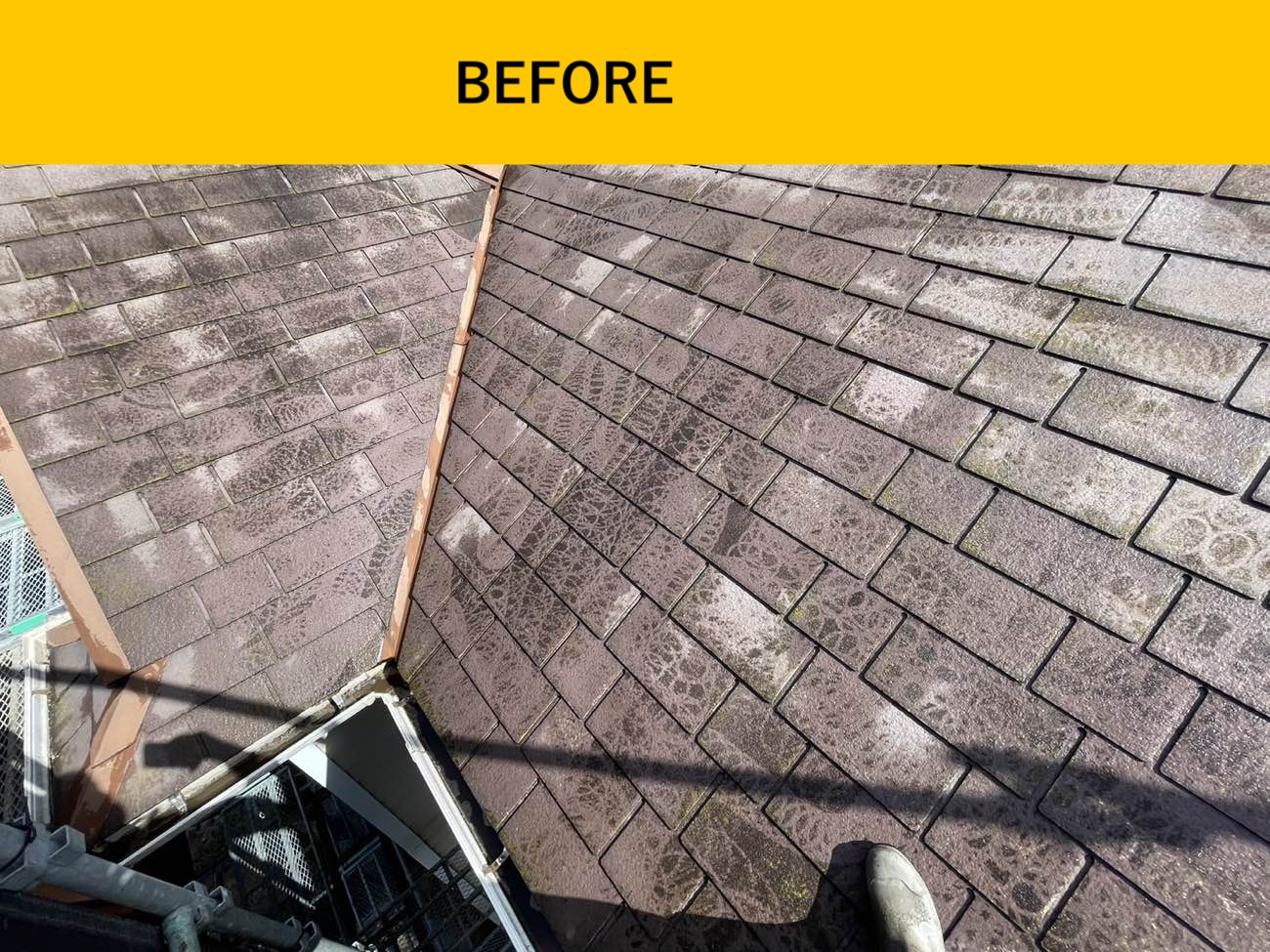 深刻な黒ずみが確認できた屋根面