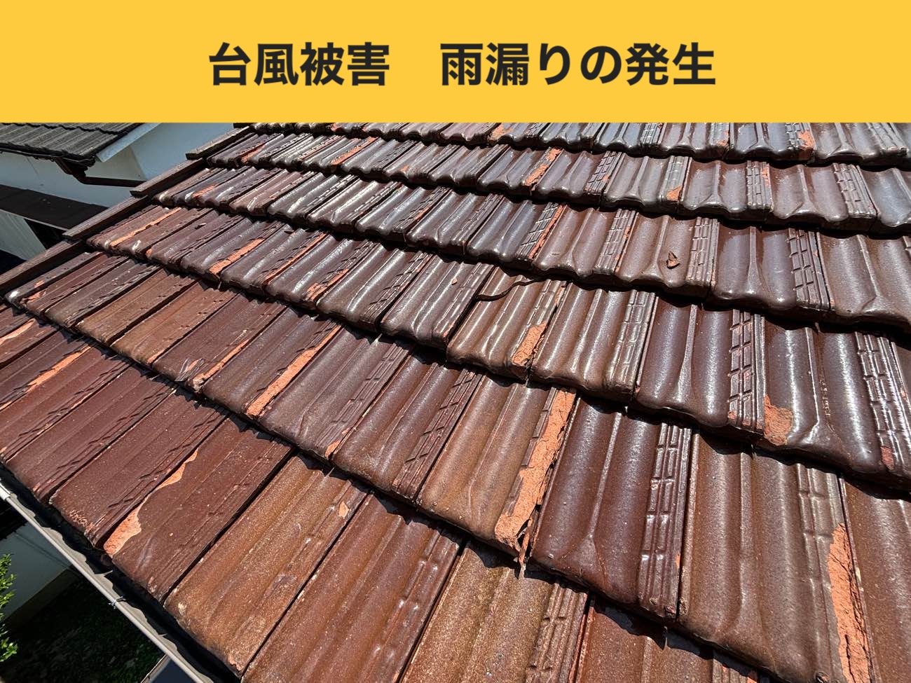 火災保険・屋根工事・雨漏り工事・福岡市