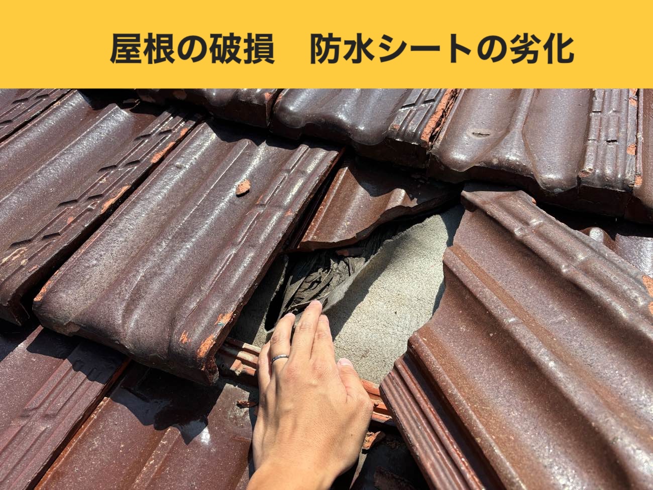 火災保険・屋根工事・雨漏り工事・福岡市