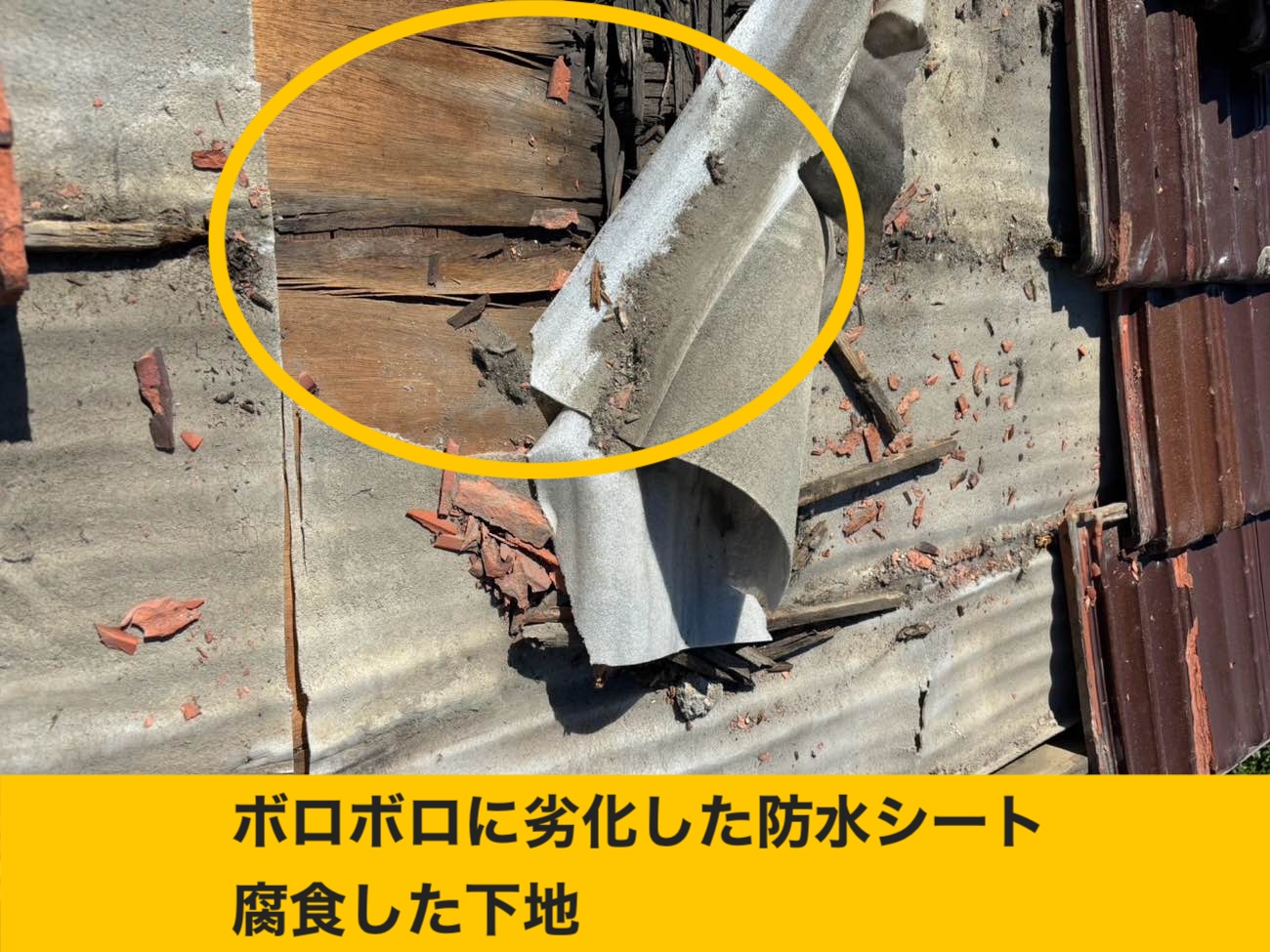 火災保険・屋根工事・雨漏り工事・福岡市
