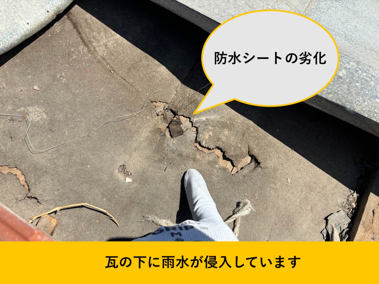 筑紫野市で確認した防水シートの劣化