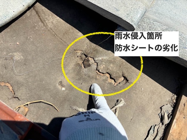 防水シート劣化と雨水侵入箇所の確認