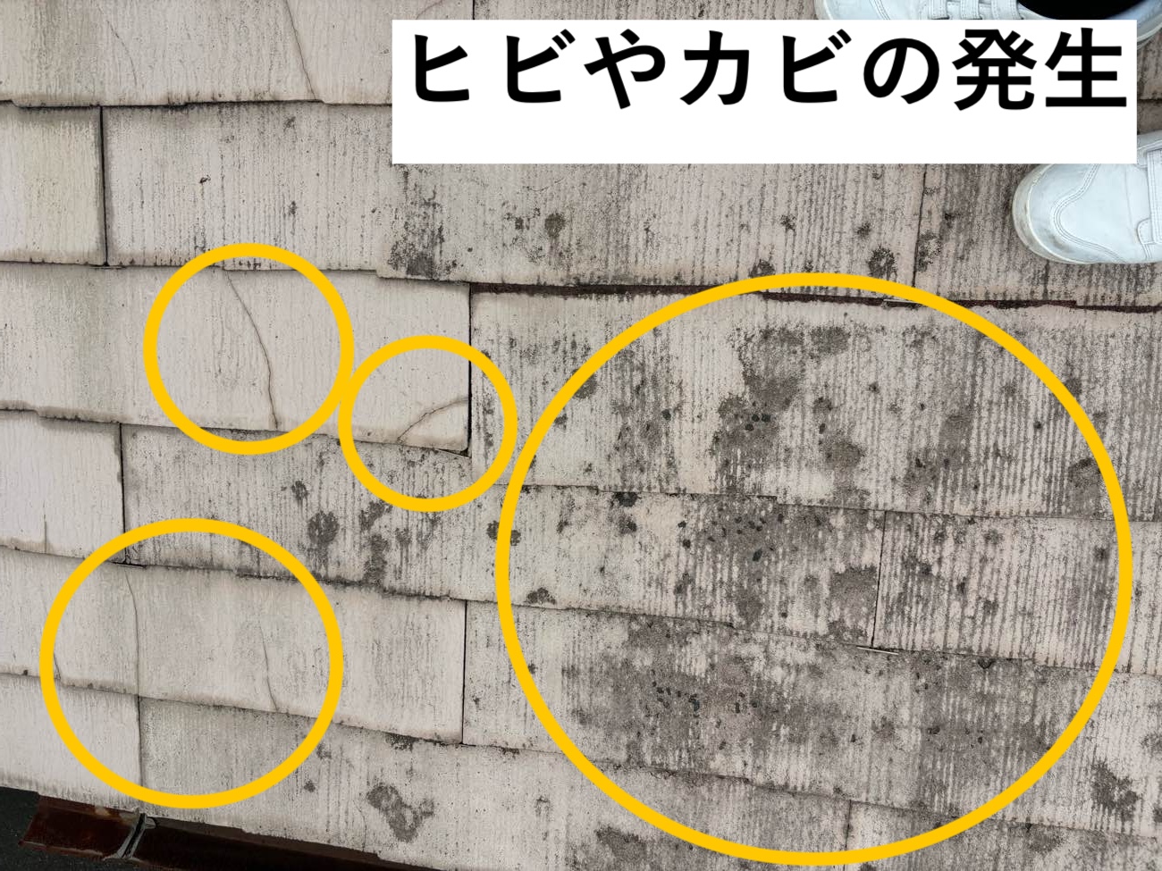 スレート屋根のひびカビの発生