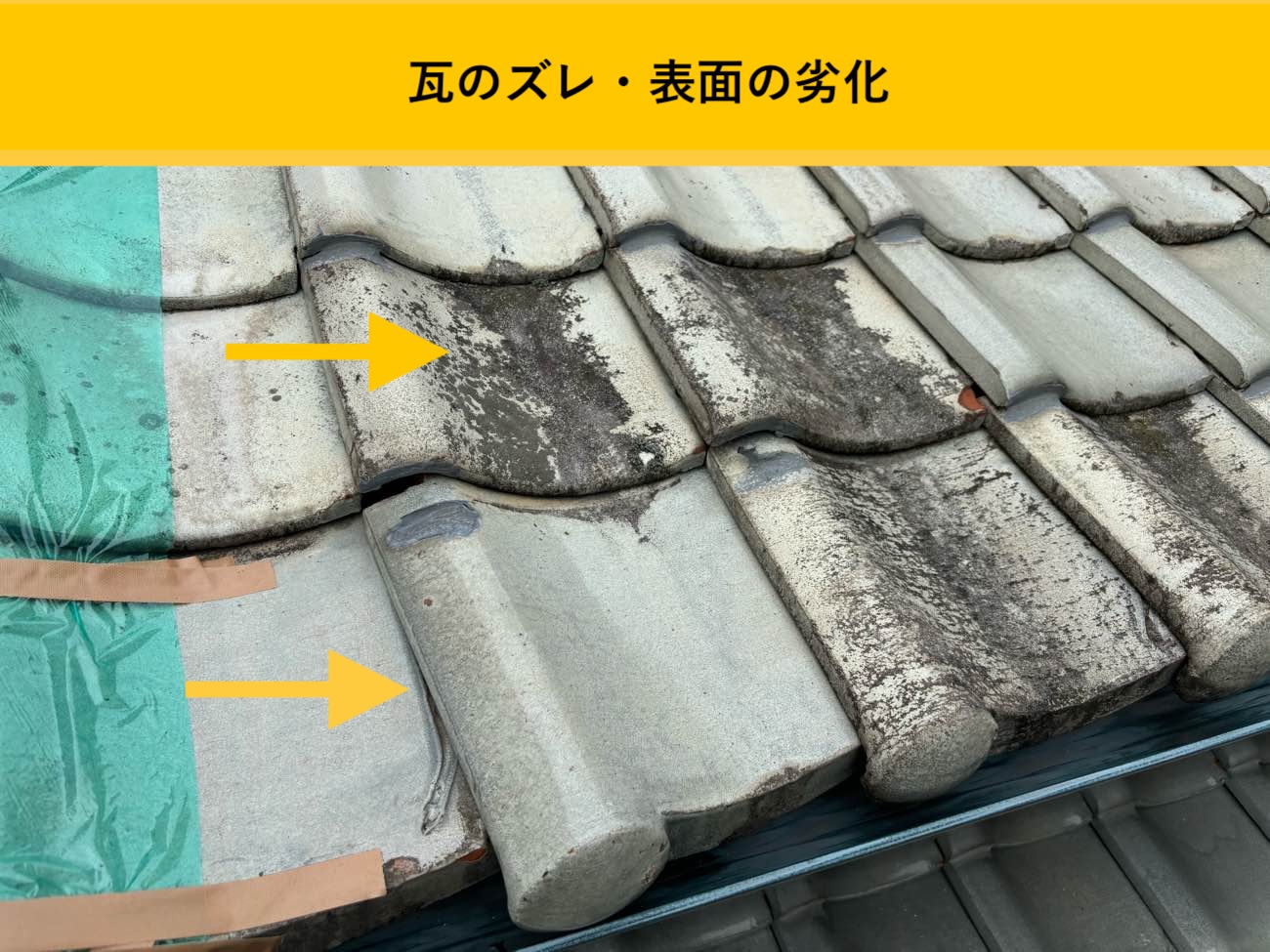 瓦のズレ・表面劣化の確認