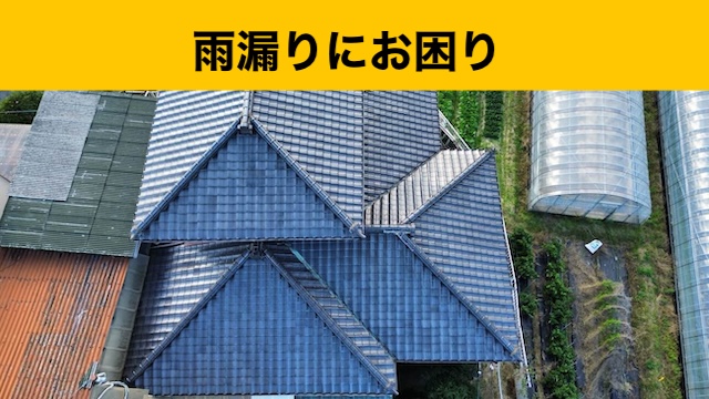 屋根全体の調査風景
