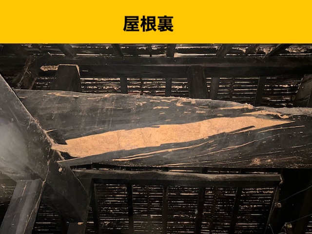 屋根裏の雨じみ