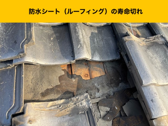 防水シートの寿命