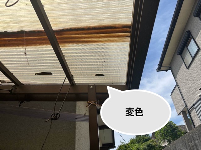 太宰府市の波板調査、変色
