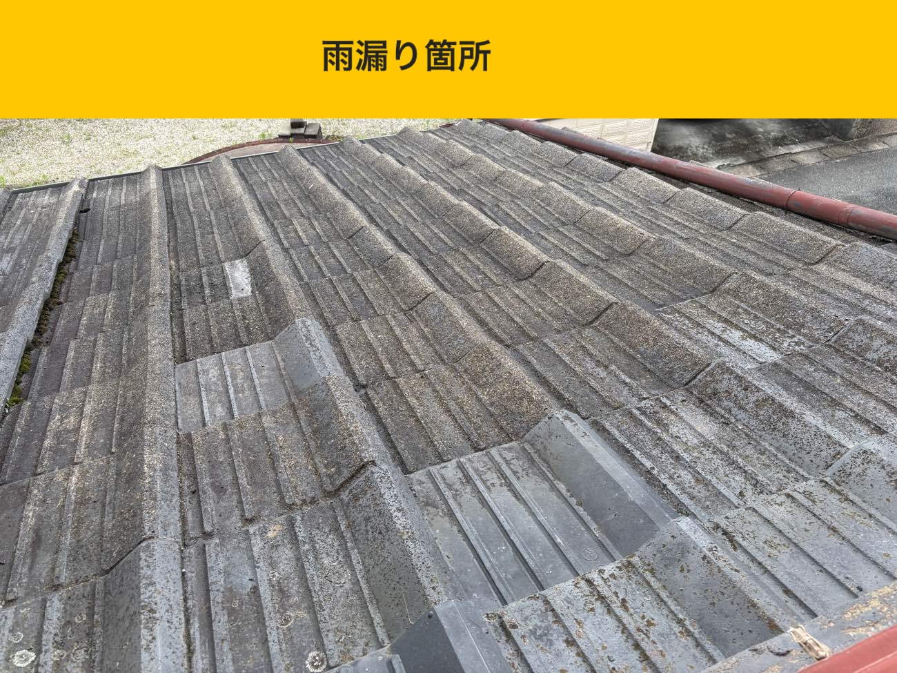 雨漏り箇所の屋根面（範囲と状態の把握）
