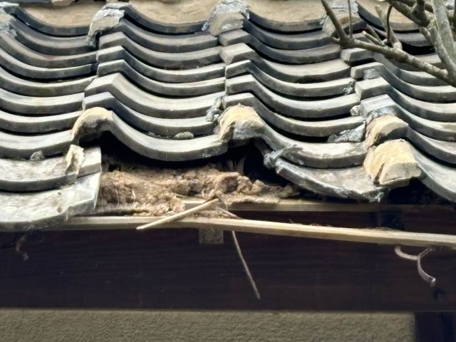 小郡市の崩れた屋根瓦