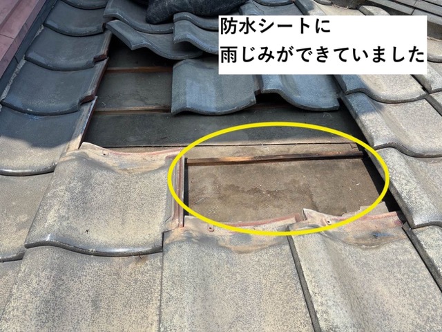 防水シートにできた雨じみ