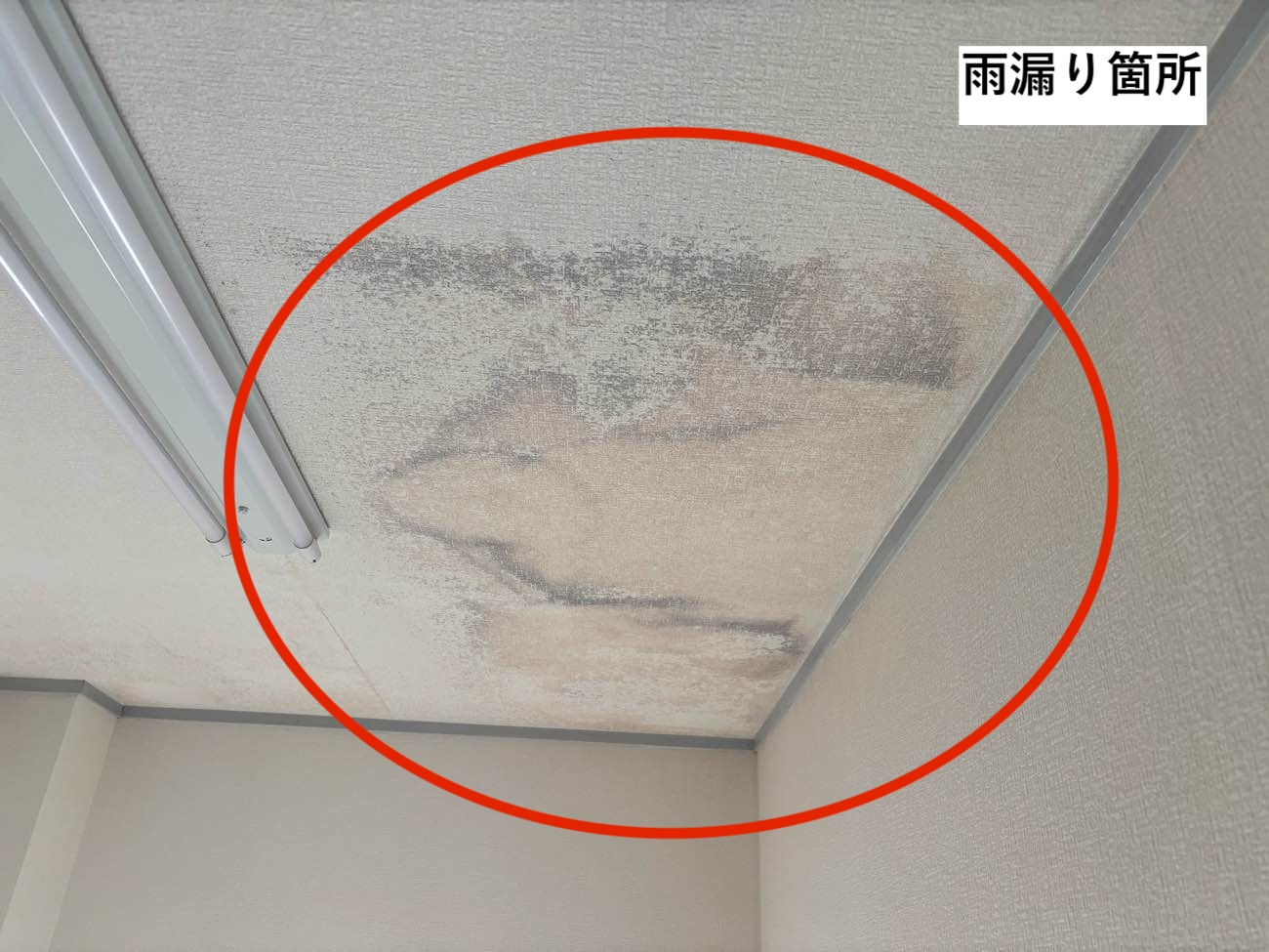 天井雨漏り