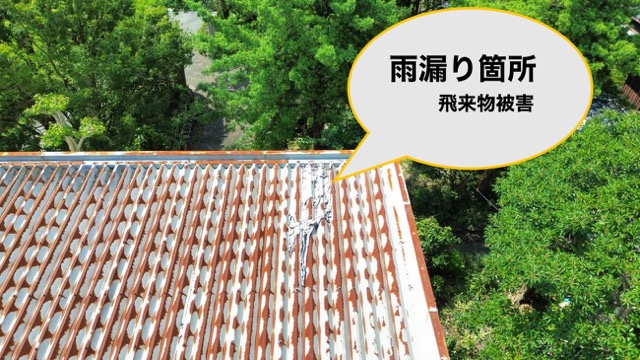 糸島市屋根調査、工場、倉庫屋根