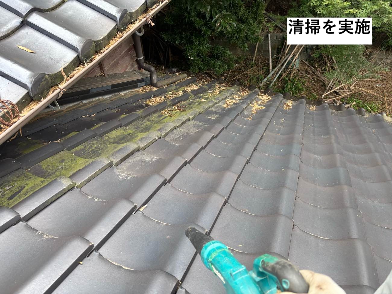 屋根の落ち葉清掃
