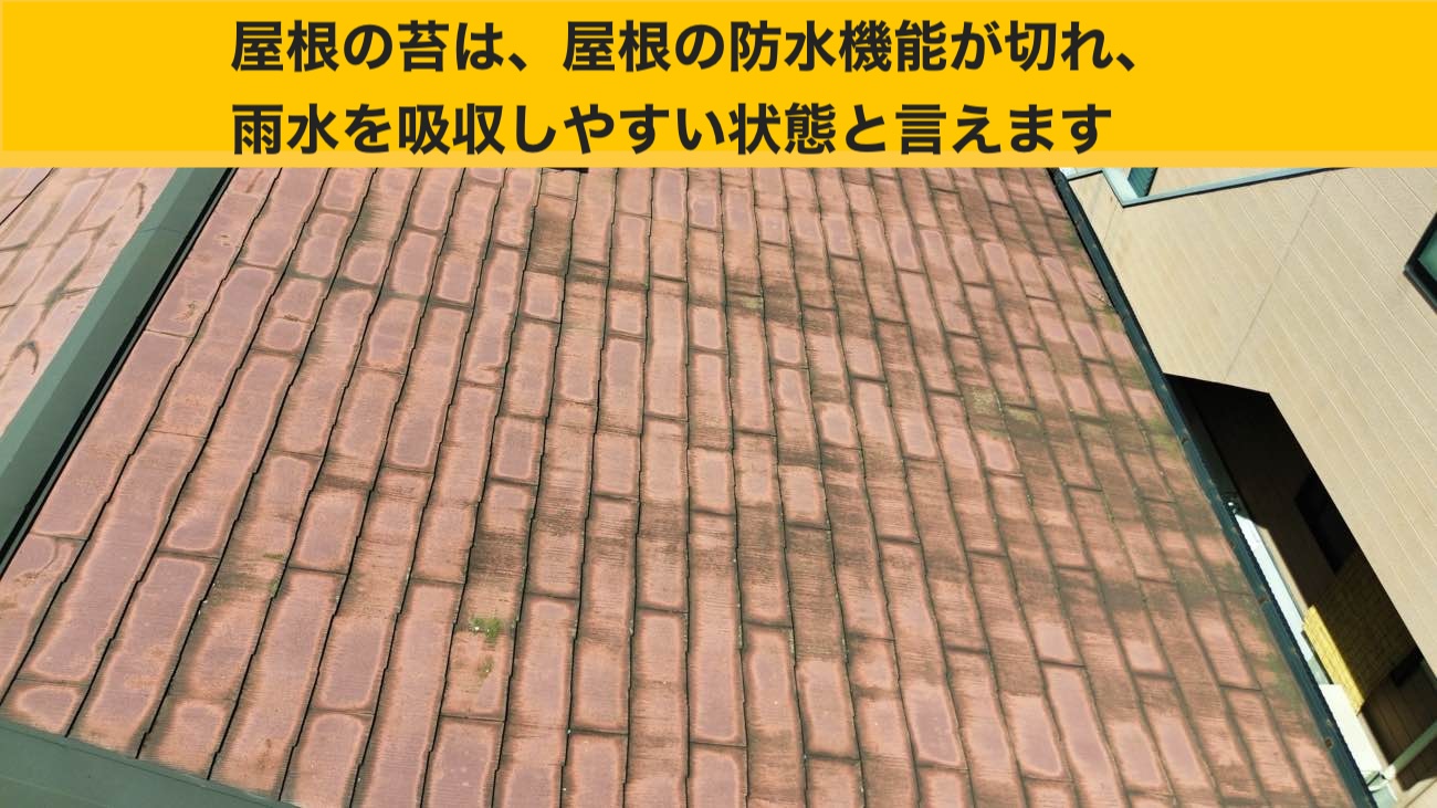 筑紫野市の雨漏り工事、屋根の苔、深刻な劣化