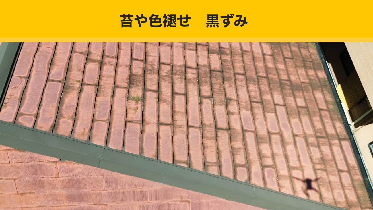 筑紫野市の屋根工事、雨漏り、苔や黒ずみ