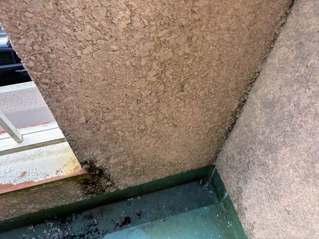 筑紫野市の苔が生えたベランダ壁