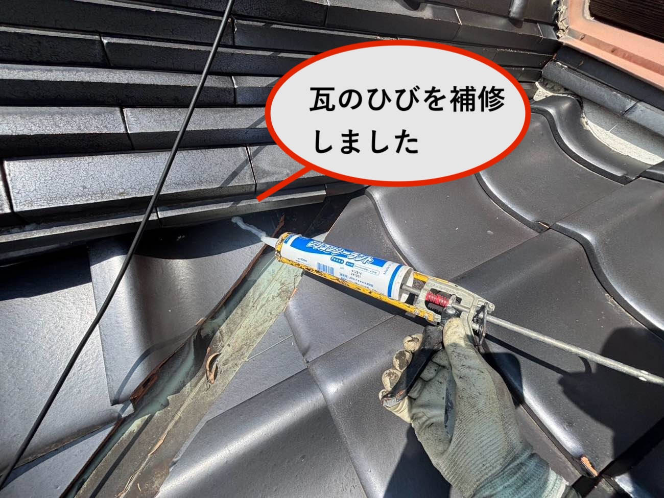瓦のひび補修