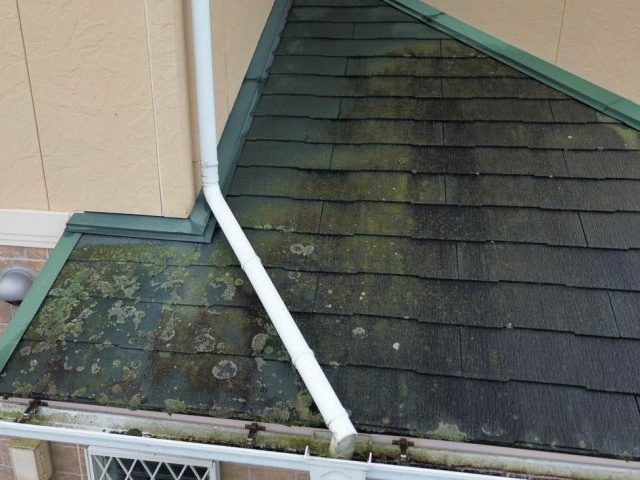 太宰府市で確認されたスレートの塗膜劣化