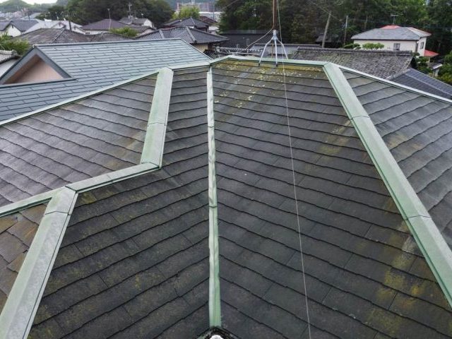 太宰府市で調査したスレート屋根の苔