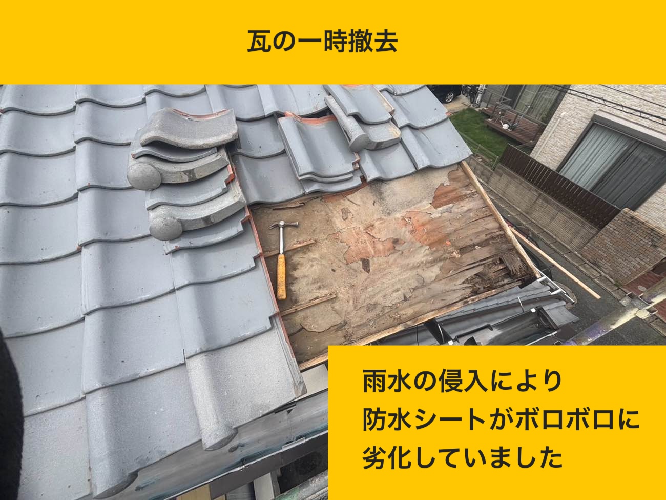 瓦の一時撤去（劣化した防水シートの露出）