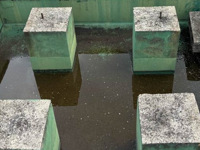 直方市で雨が排水されずに溜まった屋上