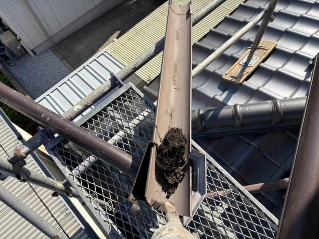 太宰府市で雨樋に堆積していた土
