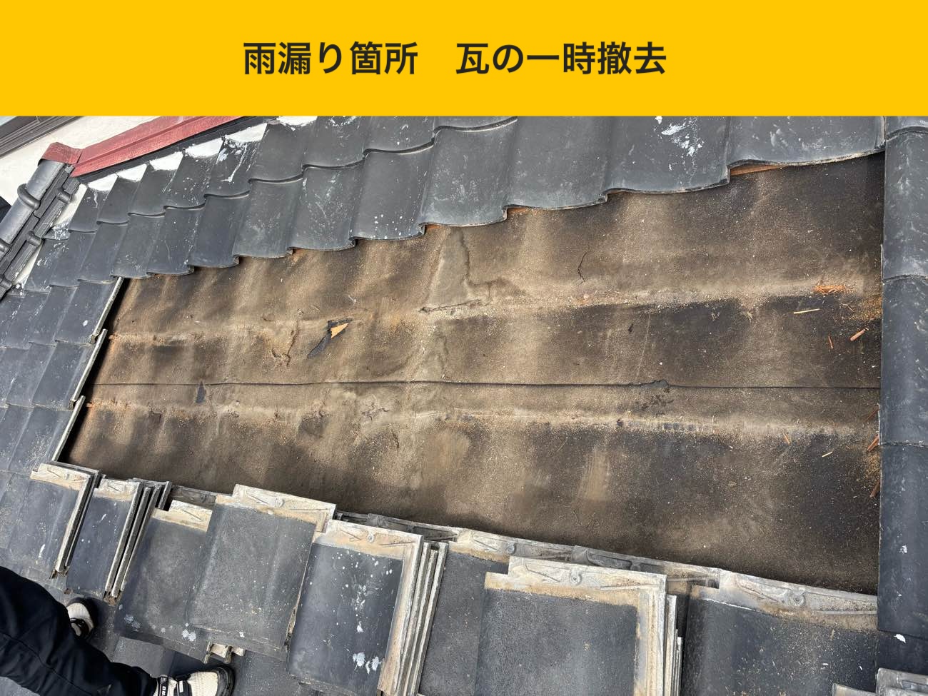 雨漏り箇所の瓦の一時撤去
