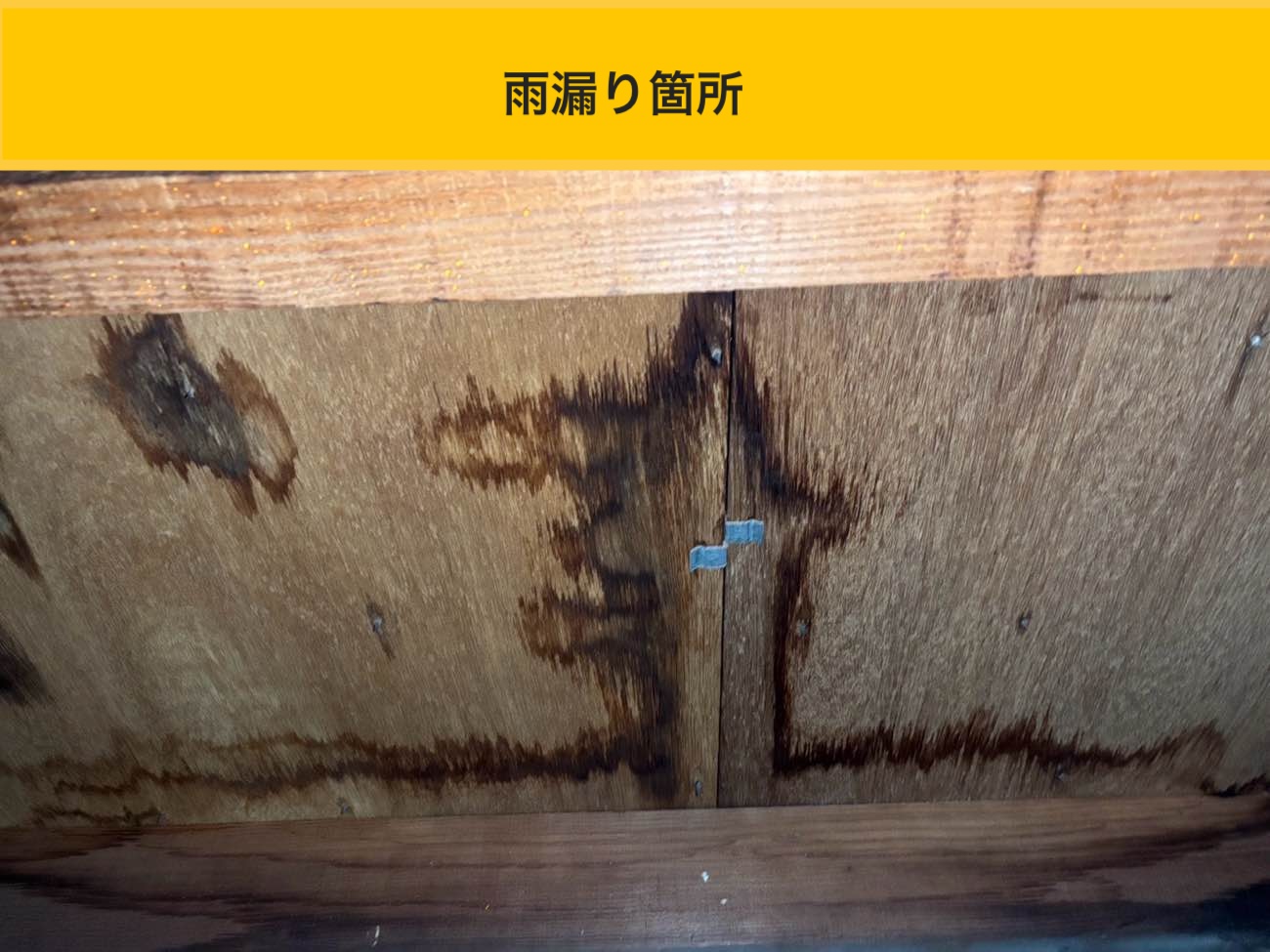 室内側に出た雨染みから漏水状況を確認
