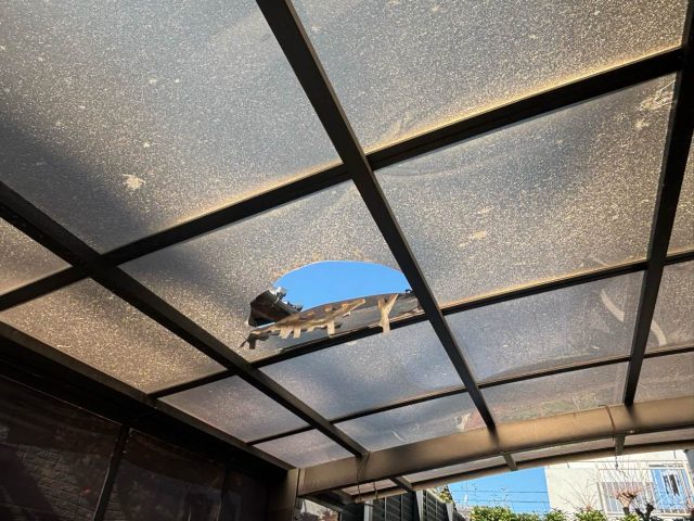太宰府市の割れたカーポート屋根