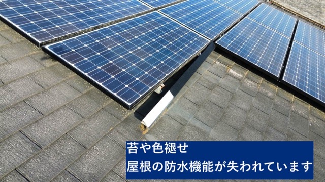 屋根の苔や色褪せ