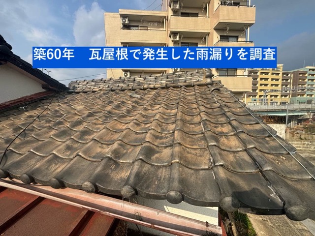 筑紫野市の方へ｜築60年の瓦屋根住宅で発生した雨漏り原因を調査しました！無料雨漏り調査