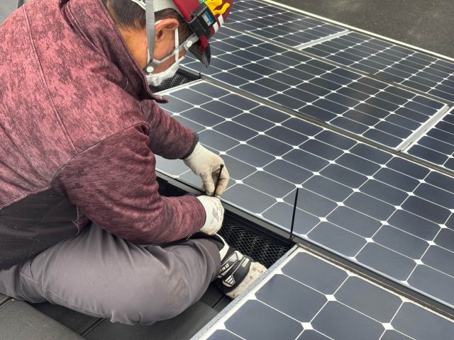 太宰府市で鳩よけを設置する職人