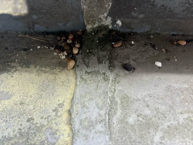 小郡市で工場の雨漏りを調査