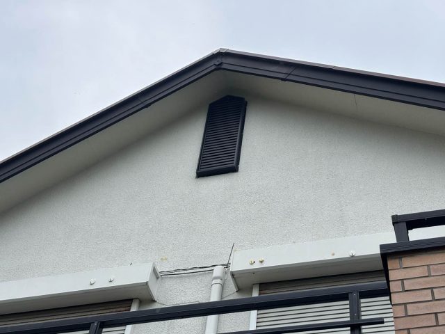 筑紫野市で調査を実施したヤギリ