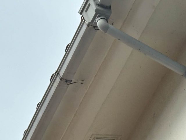 筑紫野市で調査中の集水器